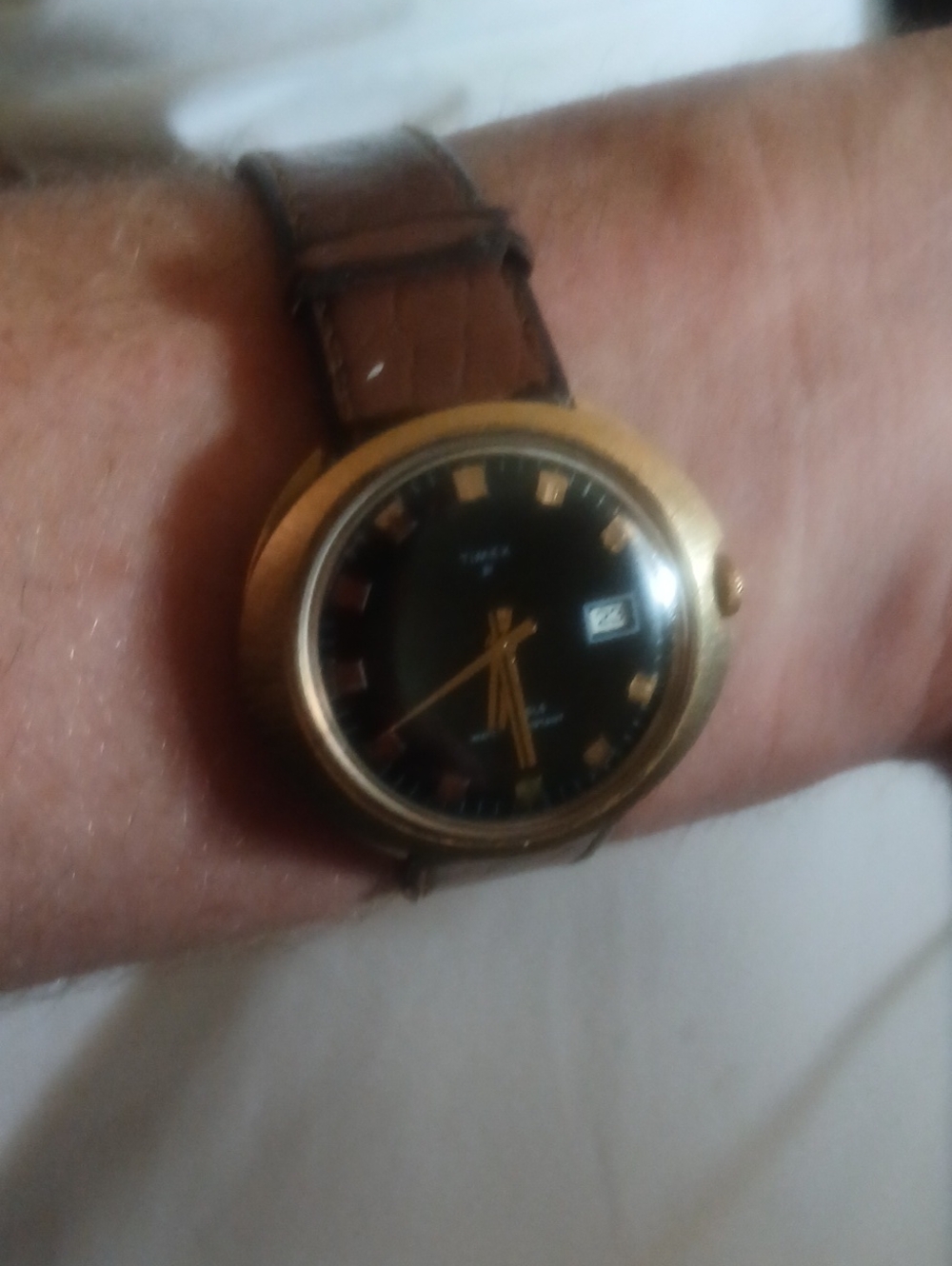 Timex Gold-Tone Case Black Dial Watch with Brown Leather Strap